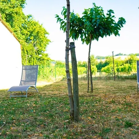 La Maison Du Vigneron *